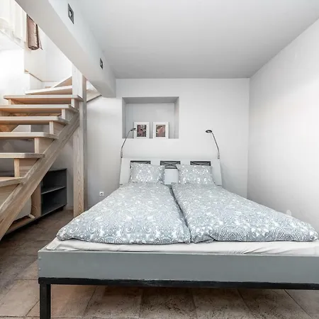 Angel House Vilnius, Dysnos