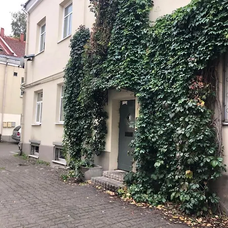 Apartment Angel House Vilnius, Dysnos