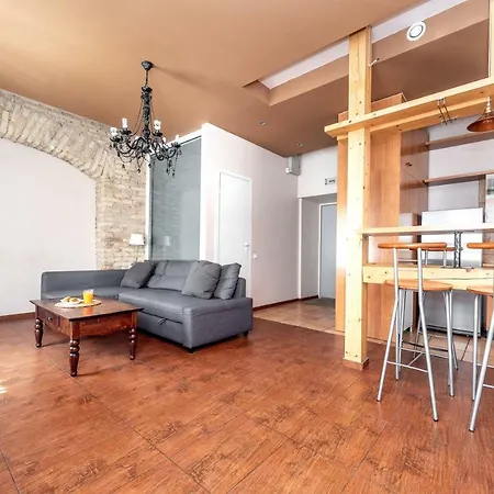 Apartment Angel House Vilnius, Dysnos *