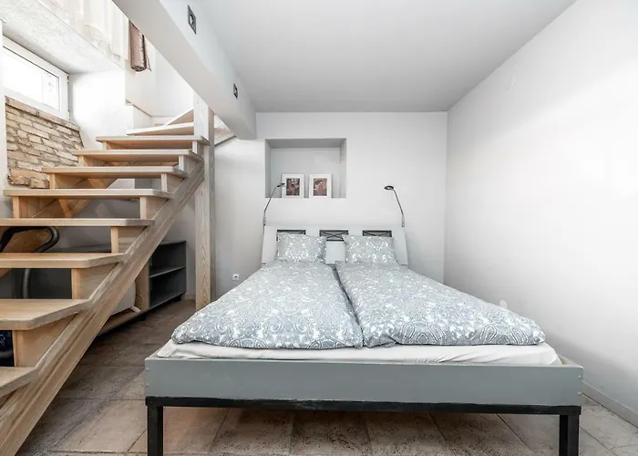 Angel House Vilnius, Dysnos