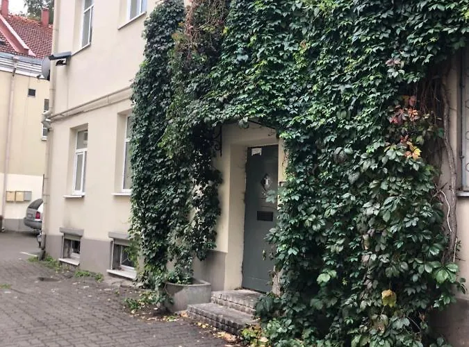 公寓 Angel House Vilnius, Dysnos